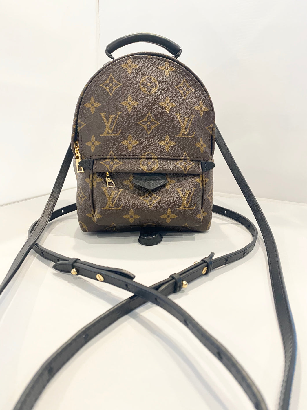 Louis Vuitton- Monogram Palm Springs Mini