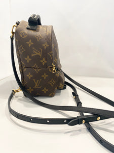 Louis Vuitton- Monogram Palm Springs Mini