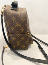 Louis Vuitton- Monogram Palm Springs Mini