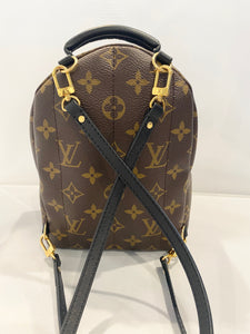 Louis Vuitton- Monogram Palm Springs Mini