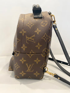 Louis Vuitton- Monogram Palm Springs Mini