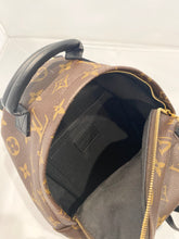 Louis Vuitton- Monogram Palm Springs Mini