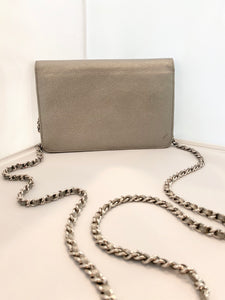 Chanel- Metallic Wallet on a Chain